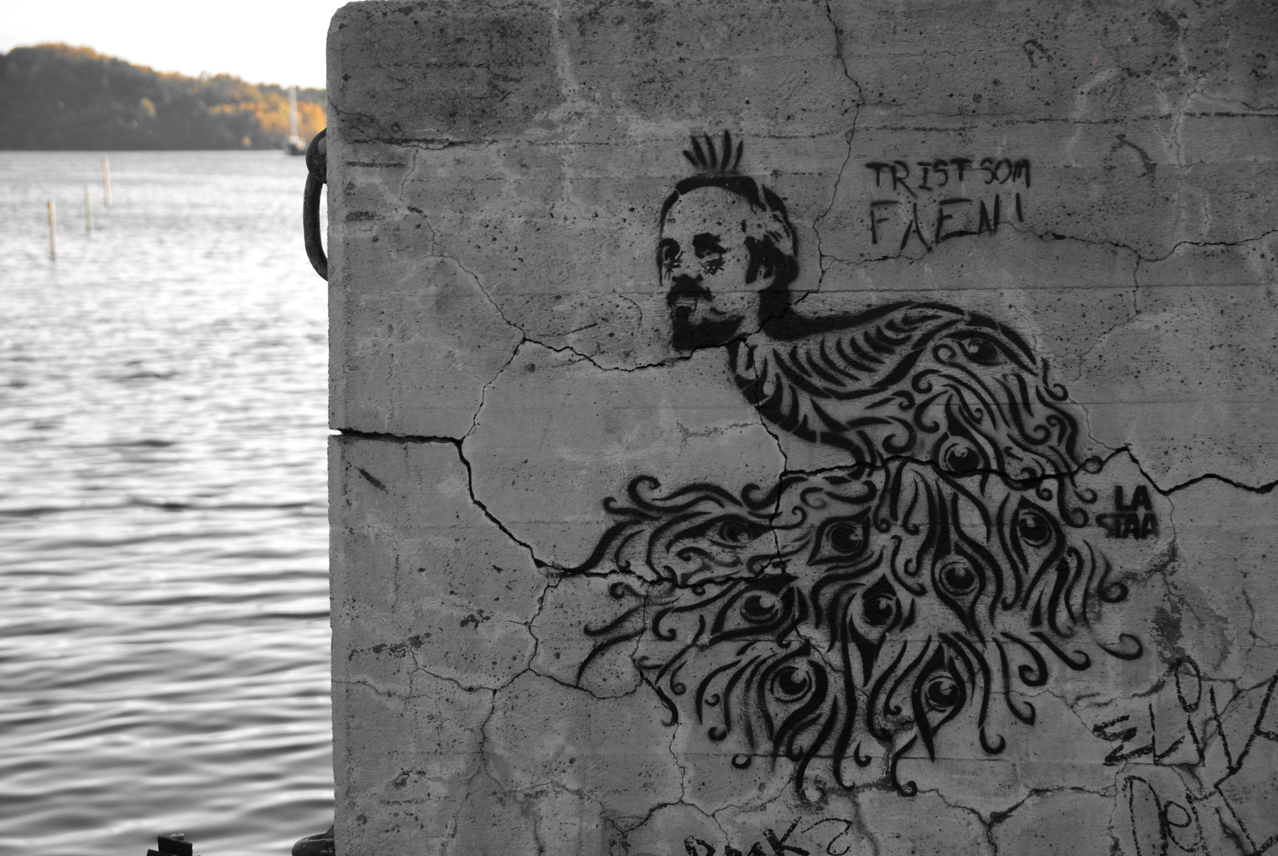 Bilde i nesten svart-hvitt av en stencil av Ari Behn som en påfugl, med tittelen "Trist som faen". Vann i bakgrunnen.
